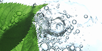 氧气 Oxygen